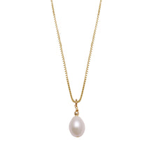 Load image into Gallery viewer, Fine Box Chain Necklace Wth Oval Pearl
