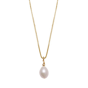 Fine Box Chain Necklace Wth Oval Pearl