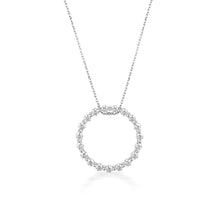 Load image into Gallery viewer, Circle of Life Silver Necklace

