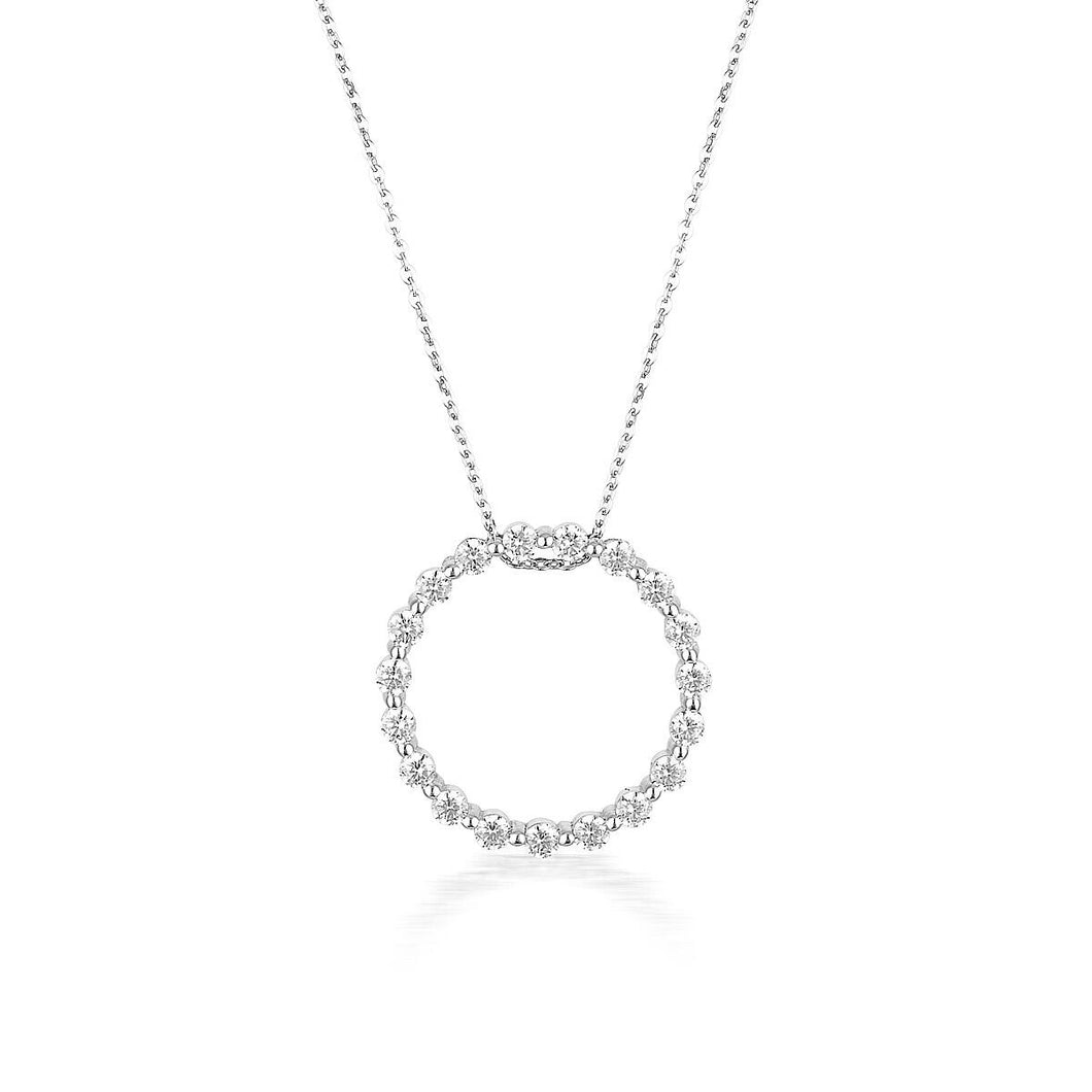 Circle of Life Silver Necklace