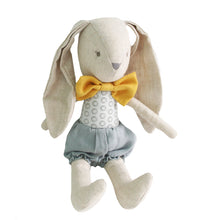Load image into Gallery viewer, Baby Boy Harry Bunny 26cm
