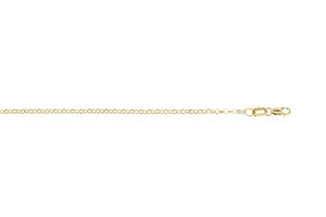 Gold Belcher Chain 50cm